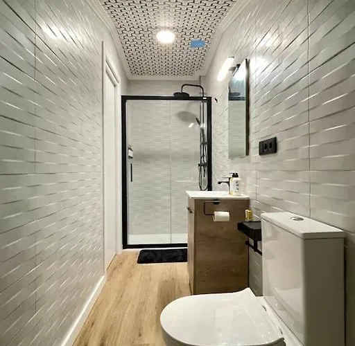 Apartment Atico En Casco Historico *